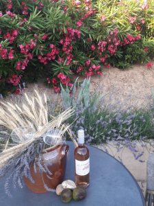 Vakantie-in-Frankrijk